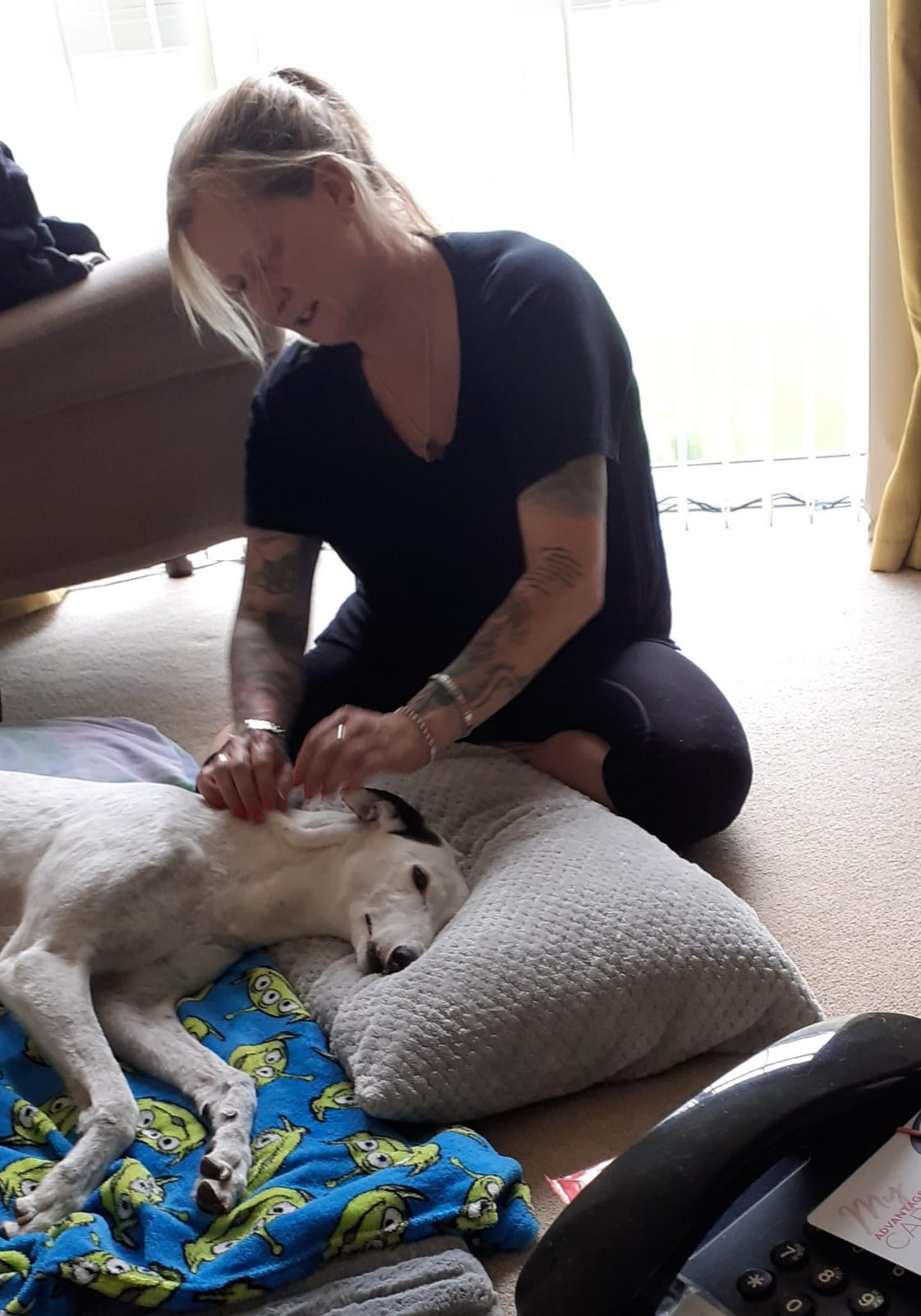 Christine giving a gentle Galen Myotherapy massage to a relaxed dog resting on its own cushion at home.