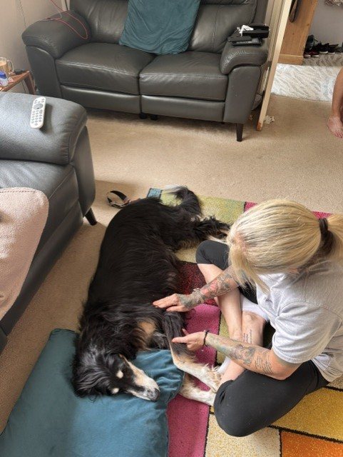 Christine sitting on the floor beside Alfie, an elderly black long-coated Saluki, massaging him gently as he rests on a cushion at home.
