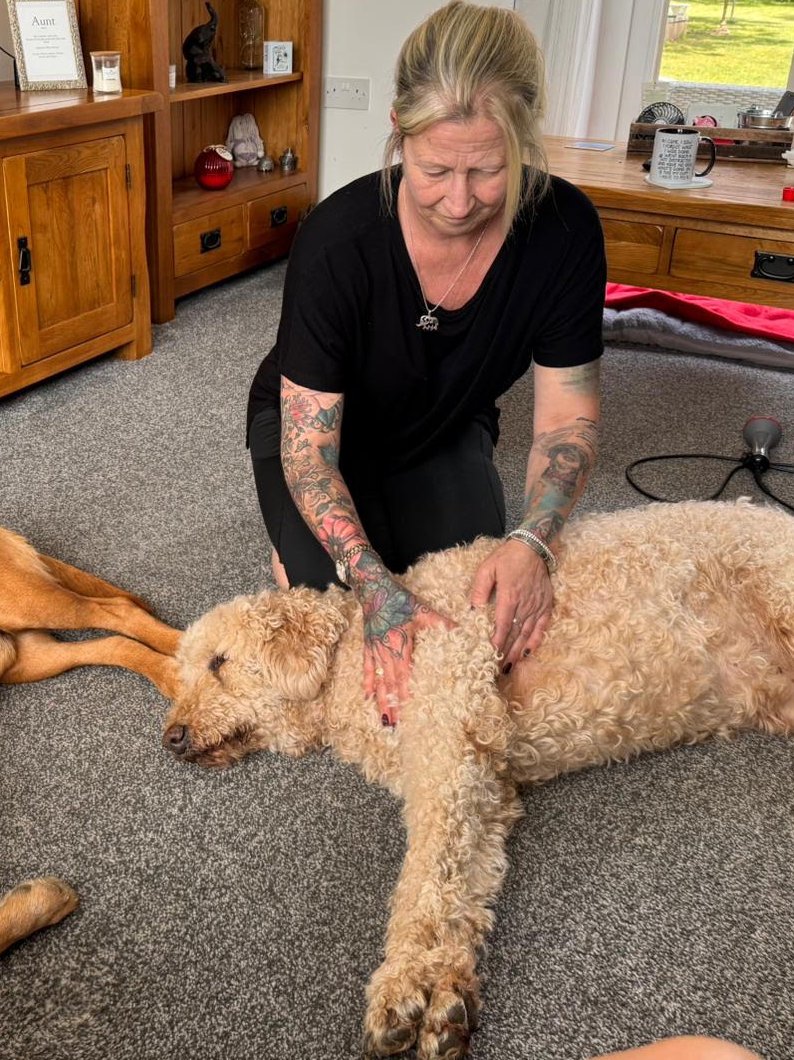 Christine kneeling on a living-room floor, giving a relaxed apricot labradoodle a gentle massage during a home visit.
